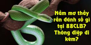 nằm mơ thấy rắn đánh số gì